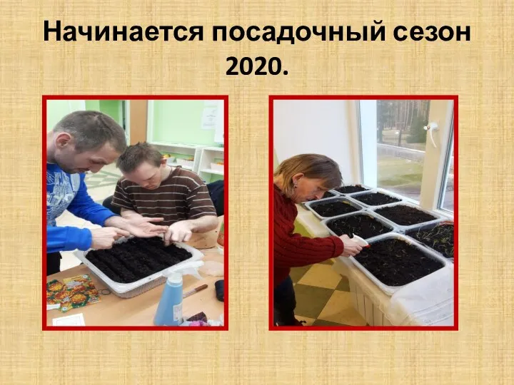 Начинается посадочный сезон 2020.