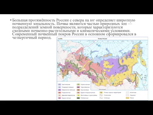 Большая протяжённость России с севера на юг определяет широтную почвенную