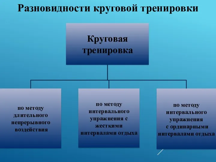 Разновидности круговой тренировки