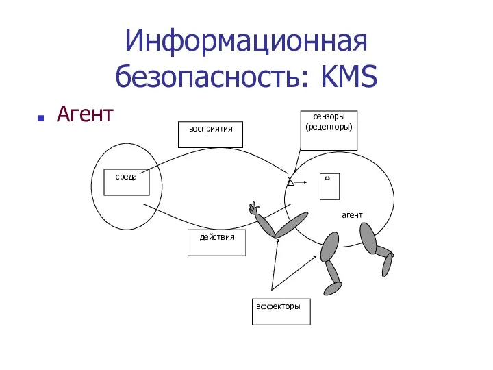 Информационная безопасность: KMS Агент