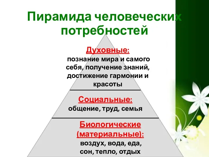 Пирамида человеческих потребностей Социальные: общение, труд, семья Духовные: познание мира