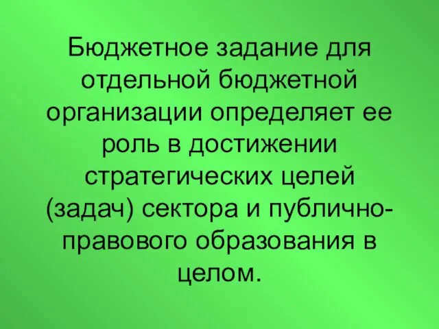 Бюджетное задание для отдельной бюджетной организации определяет ее роль в достижении стратегических целей