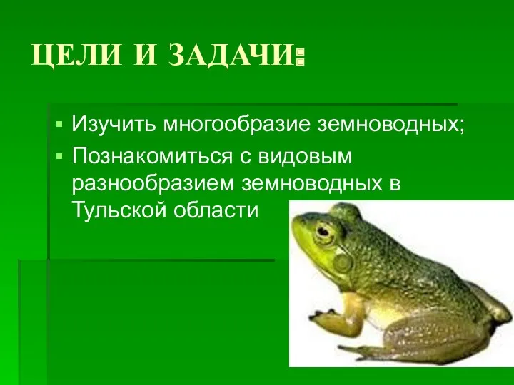 ЦЕЛИ И ЗАДАЧИ: Изучить многообразие земноводных; Познакомиться с видовым разнообразием земноводных в Тульской области