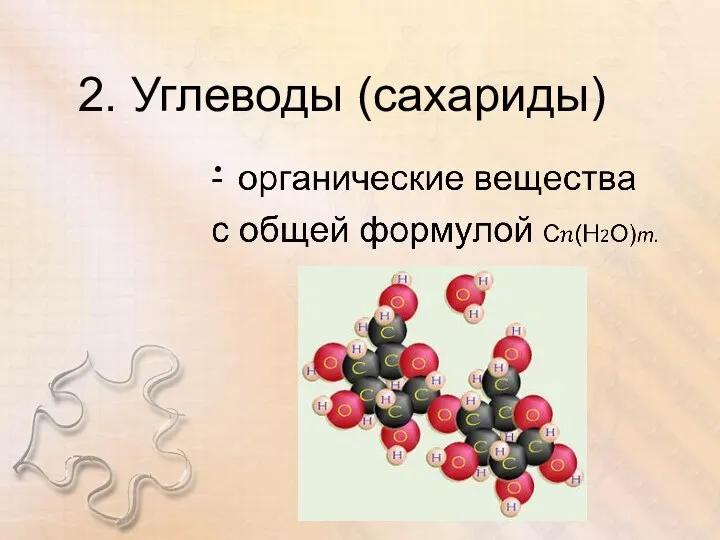 2. Углеводы (сахариды)