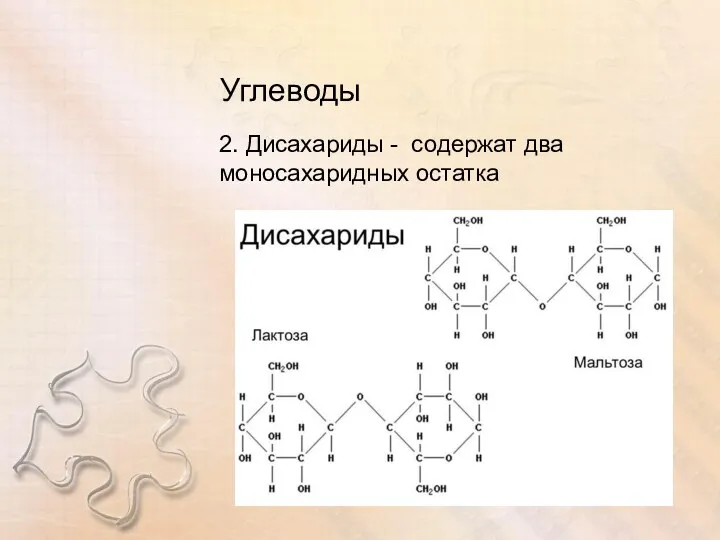 Углеводы 2. Дисахариды - содержат два моносахаридных остатка