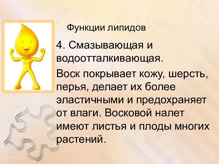 Функции липидов 4. Смазывающая и водоотталкивающая. Воск покрывает кожу, шерсть,