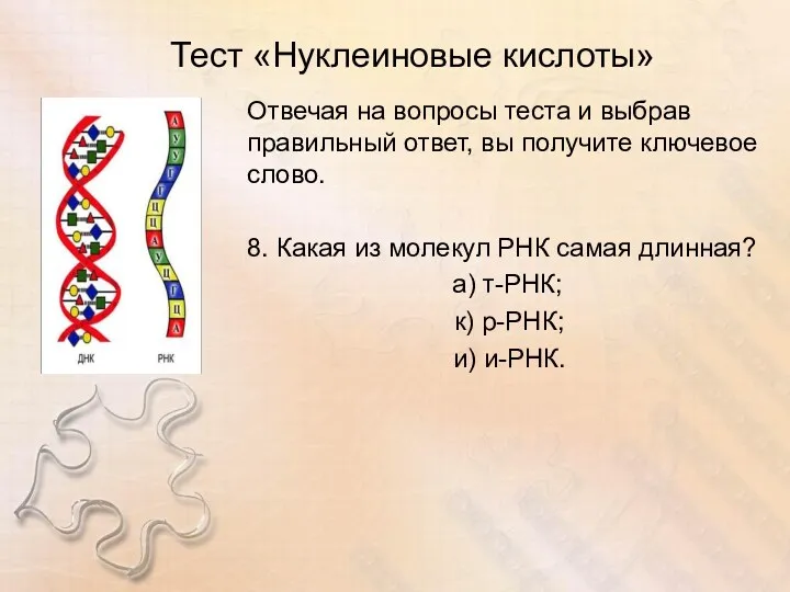 Тест «Нуклеиновые кислоты» Отвечая на вопросы теста и выбрав правильный