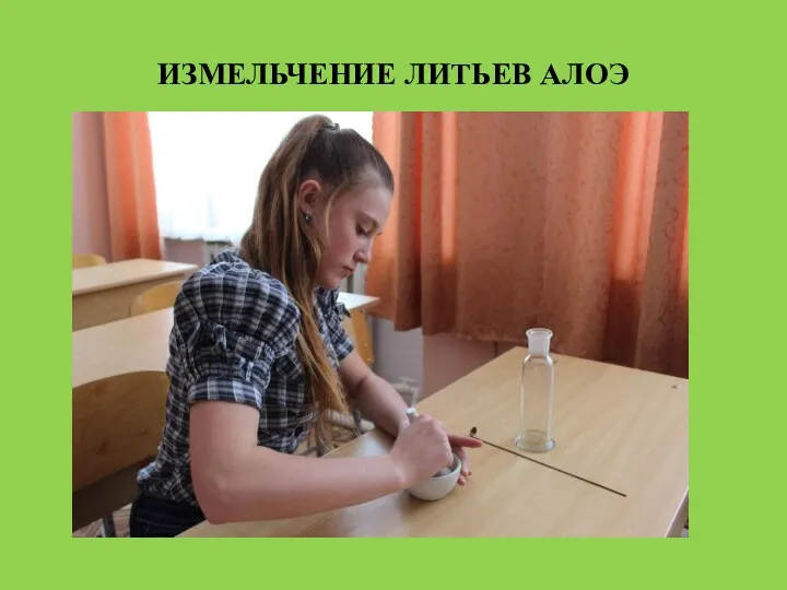 ИЗМЕЛЬЧЕНИЕ ЛИТЬЕВ АЛОЭ