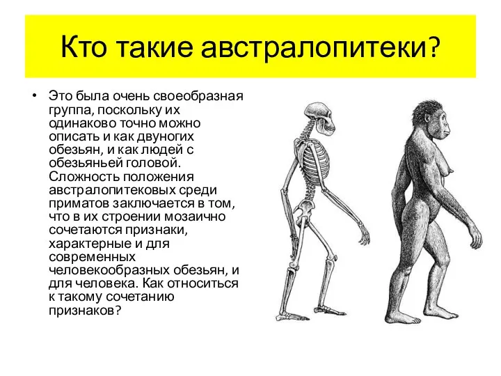 Это была очень своеобразная группа, поскольку их одинаково точно можно