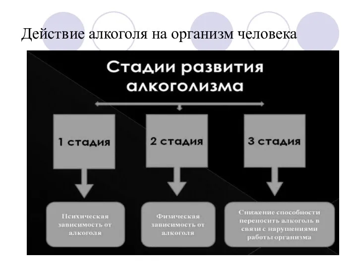 Действие алкоголя на организм человека