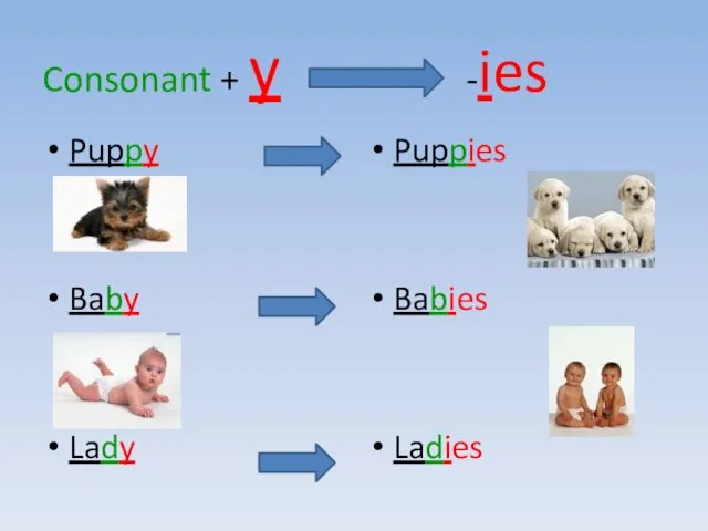 Consonant + y -ies Puppy Baby Lady Puppies Babies Ladies