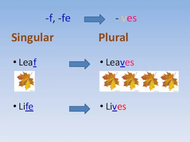 -f, -fe - ves Singular Leaf Life Plural Leaves Lives