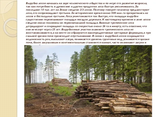 Вырубка лесов началась на заре человеческого общества и по мере