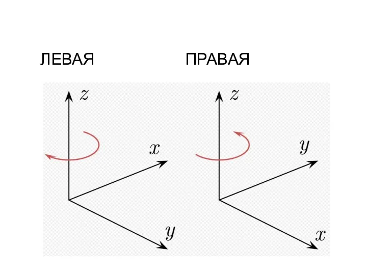 ЛЕВАЯ ПРАВАЯ