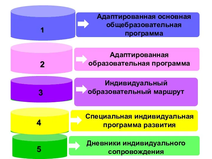 Адаптированная основная общебразовательная программа Специальная индивидуальная программа развития 1 2