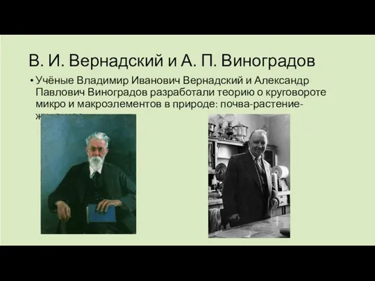 В. И. Вернадский и А. П. Виноградов Учёные Владимир Иванович