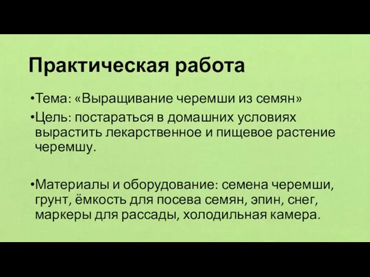 Практическая работа Тема: «Выращивание черемши из семян» Цель: постараться в