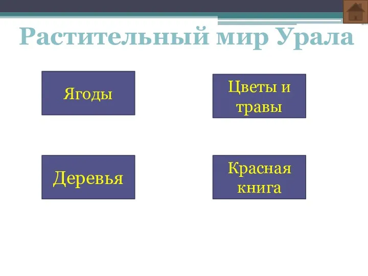 Растительный мир Урала Ягоды Цветы и травы Деревья Красная книга