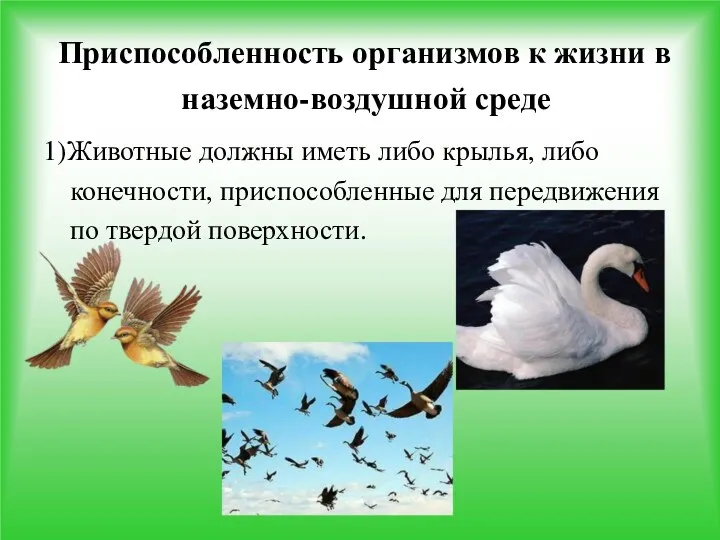 Приспособленность организмов к жизни в наземно-воздушной среде 1)Животные должны иметь либо крылья, либо