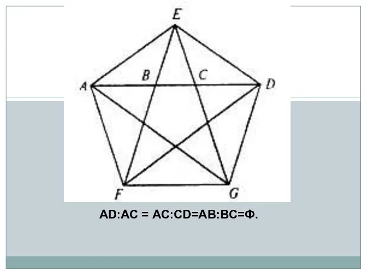 АD:АС = АС:СD=АВ:ВС=Ф.