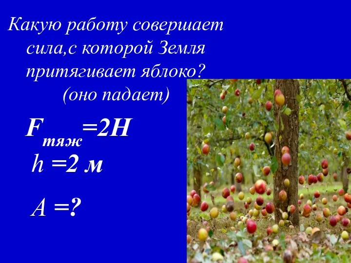Fтяж=2Н h =2 м A =? Какую работу совершает сила,с которой Земля притягивает яблоко? (оно падает)