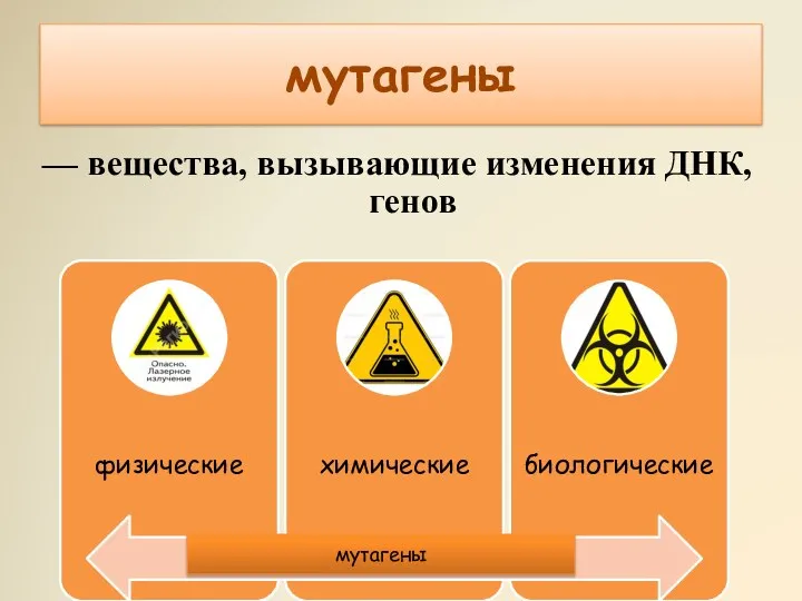 мутагены — вещества, вызывающие изменения ДНК, генов мутагены