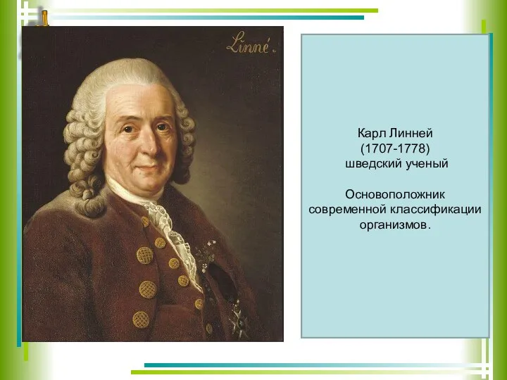 Карл Линней (1707-1778) шведский ученый Основоположник современной классификации организмов.