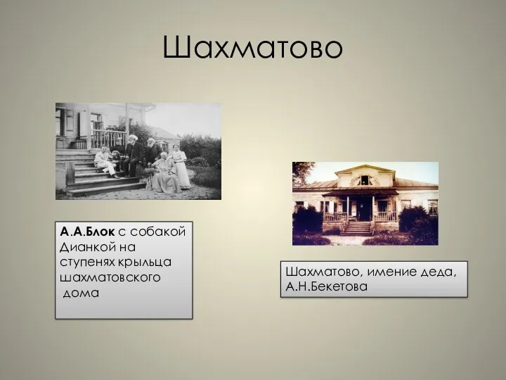 Шахматово А.А.Блок с собакой Дианкой на ступенях крыльца шахматовского дома Шахматово, имение деда, А.Н.Бекетова