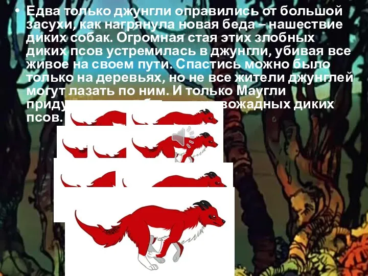 Едва только джунгли оправились от большой засухи, как нагрянула новая