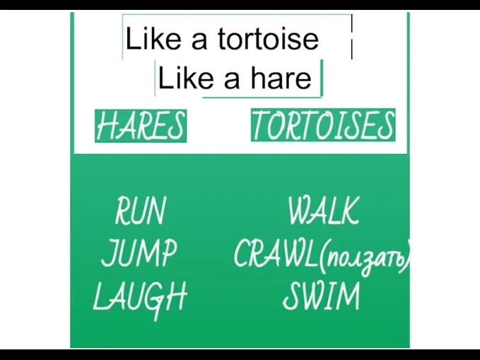 Like a tortoise­ Like a hare