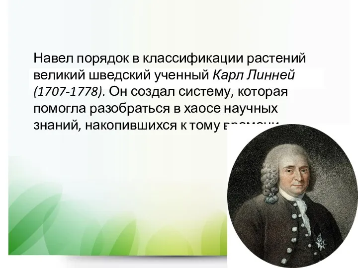 Навел порядок в классификации растений великий шведский ученный Карл Линней (1707-1778). Он создал