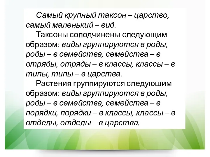 Самый крупный таксон – царство, самый маленький – вид. Таксоны соподчинены следующим образом: