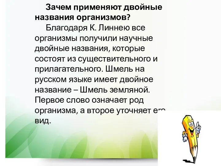 Зачем применяют двойные названия организмов? Благодаря К. Линнею все организмы получили научные двойные