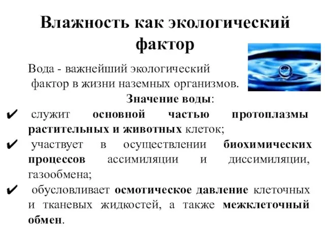 Вода - важнейший экологический фактор в жизни наземных организмов. Значение