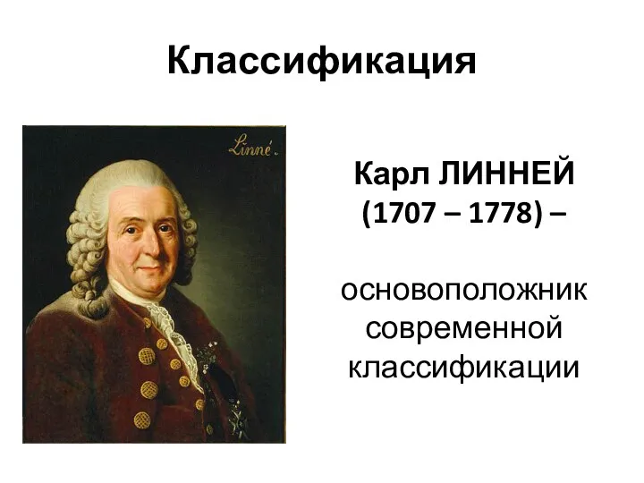 Классификация Карл ЛИННЕЙ (1707 – 1778) – основоположник современной классификации