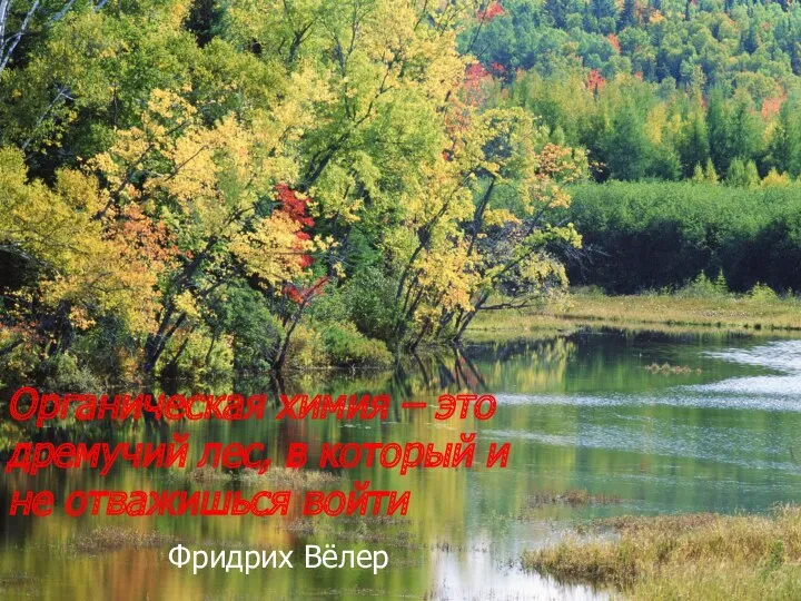 Органическая химия – это дремучий лес, в который и не отважишься войти Фридрих Вёлер