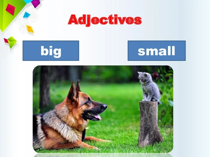 Adjectives big small