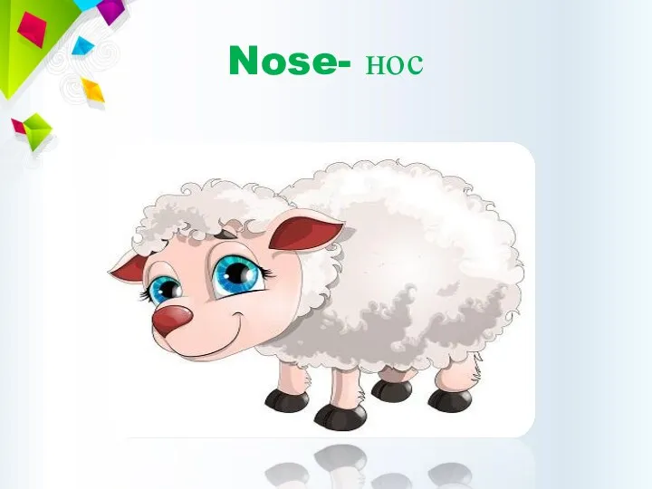 Nose- нос