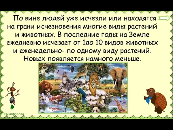 По вине людей уже исчезли или находятся на грани исчезновения