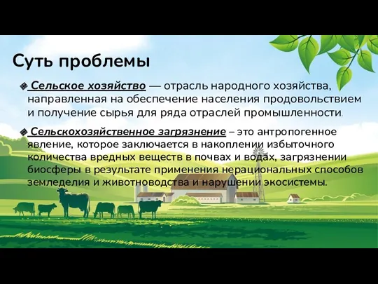 Суть проблемы Сельское хозяйство — отрасль народного хозяйства, направленная на