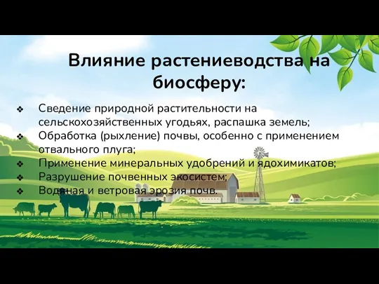 Влияние растениеводства на биосферу: Сведение природной растительности на сельскохозяйственных угодьях,