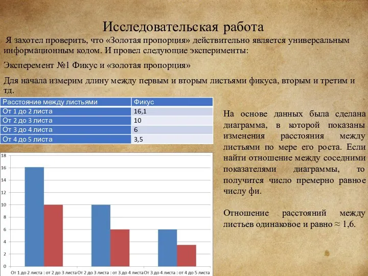 Исследовательская работа Я захотел проверить, что «Золотая пропорция» действительно является