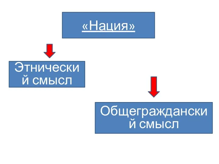 «Нация» Этнический смысл Общегражданский смысл