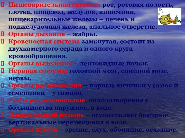 Пищеварительная система: рот, ротовая полость, глотка, пищевод, желудок, кишечник, пищеварительные