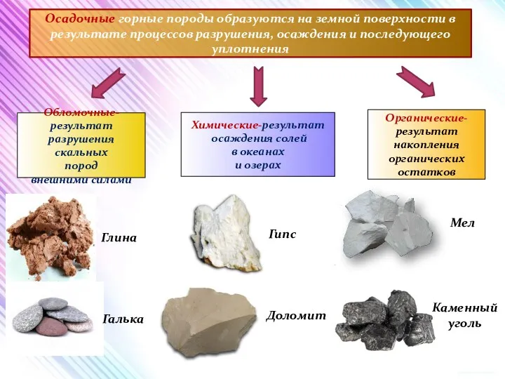 Осадочные горные породы образуются на земной поверхности в результате процессов