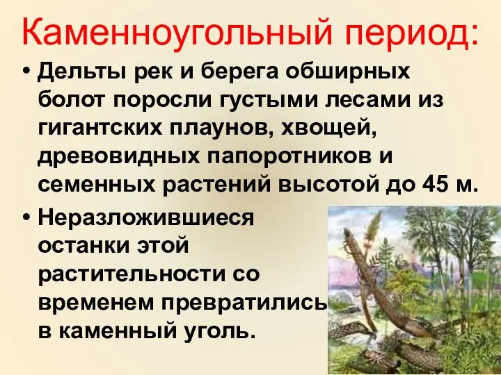 Каменноугольный период: Дельты рек и берега обширных болот поросли густыми