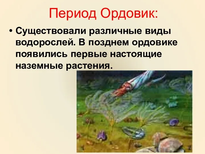 Период Ордовик: Существовали различные виды водорослей. В позднем ордовике появились первые настоящие наземные растения.