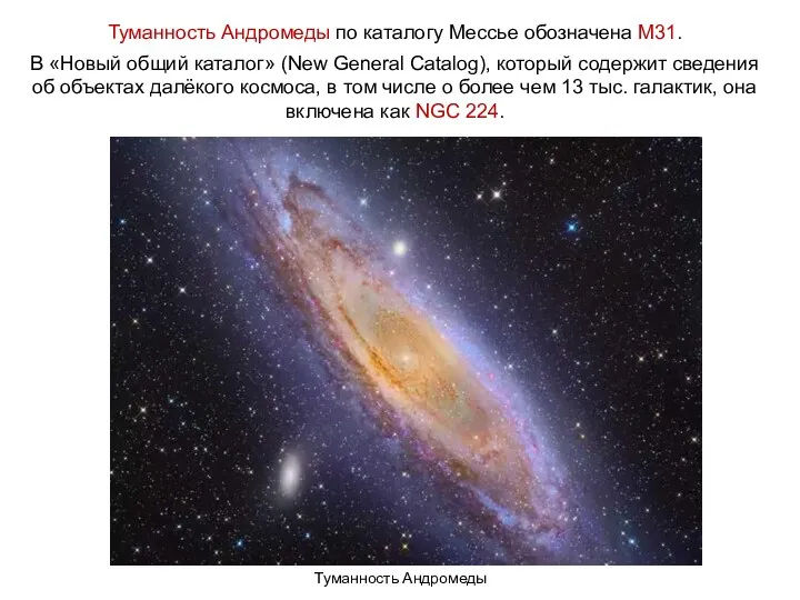 Веста Паллада Туманность Андромеды Туманность Андромеды по каталогу Мессье обозначена М31. В «Новый