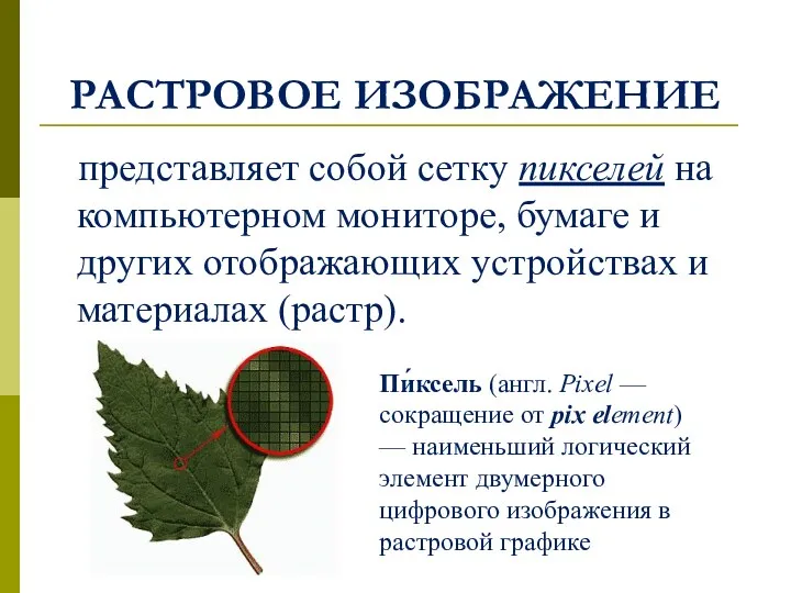 РАСТРОВОЕ ИЗОБРАЖЕНИЕ представляет собой сетку пикселей на компьютерном мониторе, бумаге