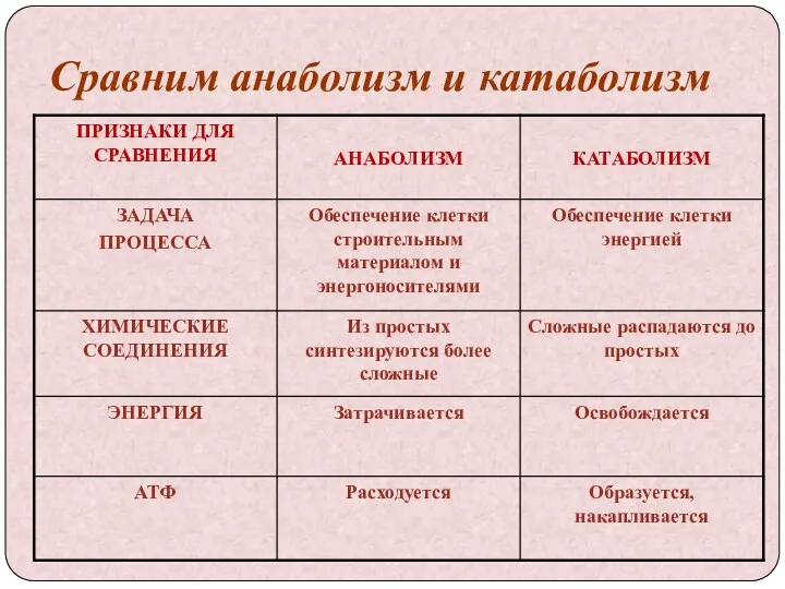 Сравним анаболизм и катаболизм